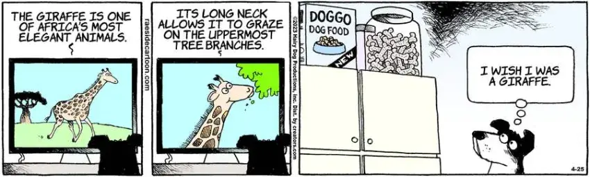 The Other Coast for Apr 25, 2023