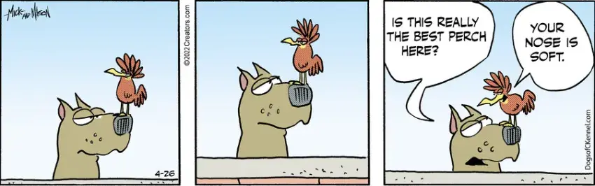 Dogs of C-Kennel for Apr 26, 2022