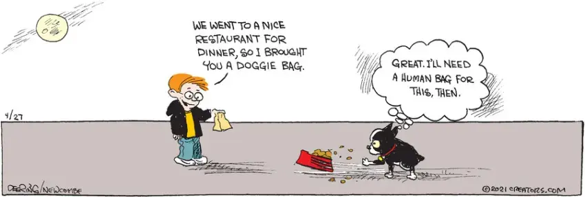 Zack Hill for Apr 27, 2021