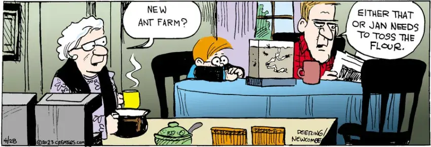 Zack Hill for Apr 28, 2023