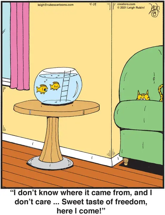 Rubes® for Apr 29, 2021