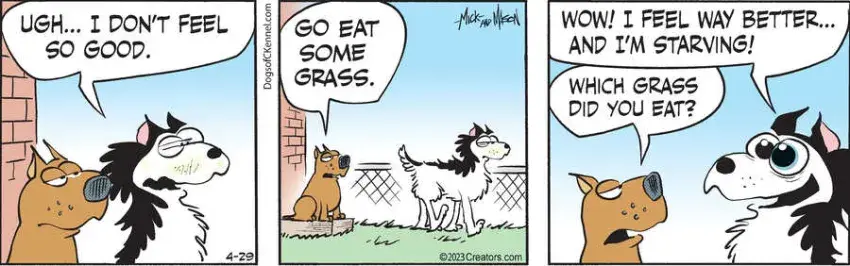 Dogs of C-Kennel for Apr 29, 2023