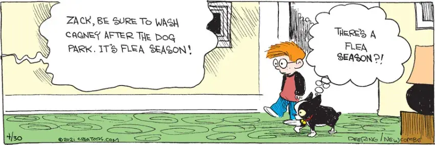 Zack Hill for Apr 30, 2021