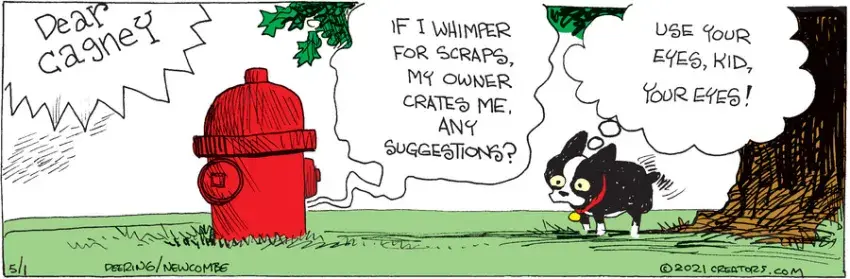 Zack Hill for May 01, 2021