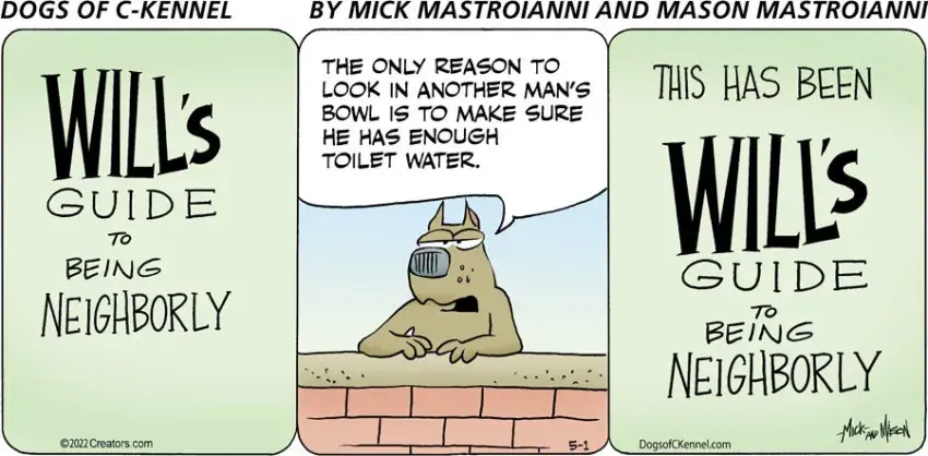 Dogs of C-Kennel for May 01, 2022