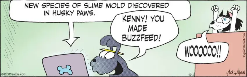 Dogs of C-Kennel for May 01, 2023