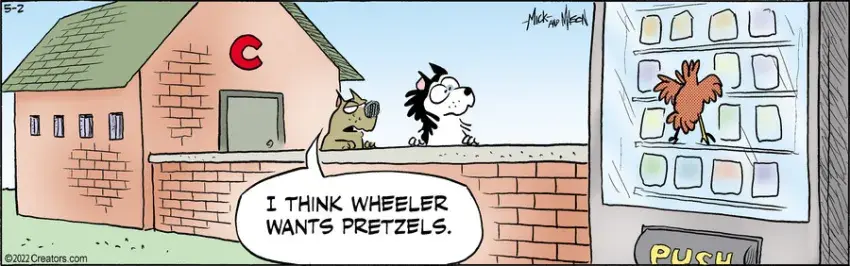 Dogs of C-Kennel for May 02, 2022
