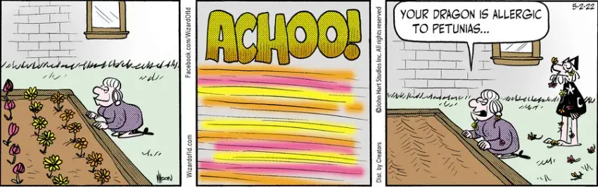 Wizard of Id for May 02, 2022