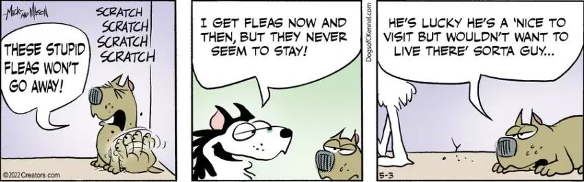 Dogs of C-Kennel for May 03, 2022