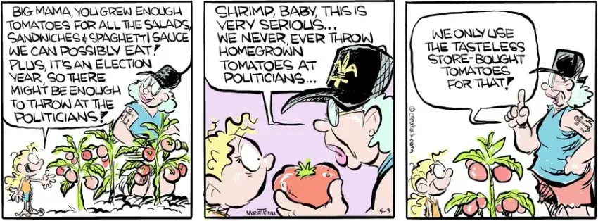 Shrimp and Grits for May 03, 2022