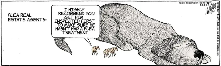 The Other Coast for May 04, 2022