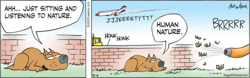 Dogs of C-Kennel for May 04, 2023