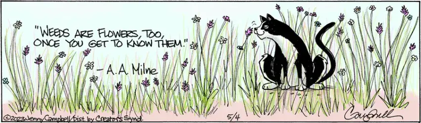 Flo & Friends for May 04, 2023