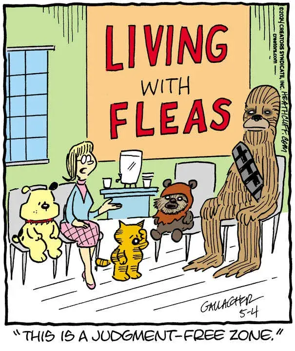 Heathcliff for May 04, 2024