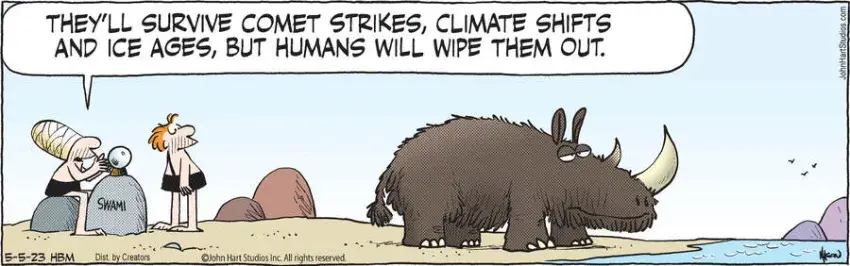 B.C. for May 05, 2023