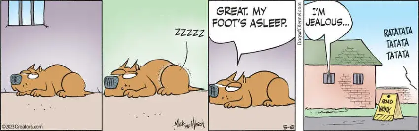 Dogs of C-Kennel for May 06, 2023