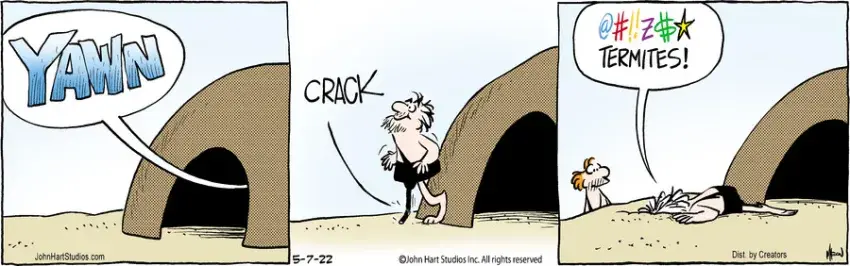 B.C. for May 07, 2022