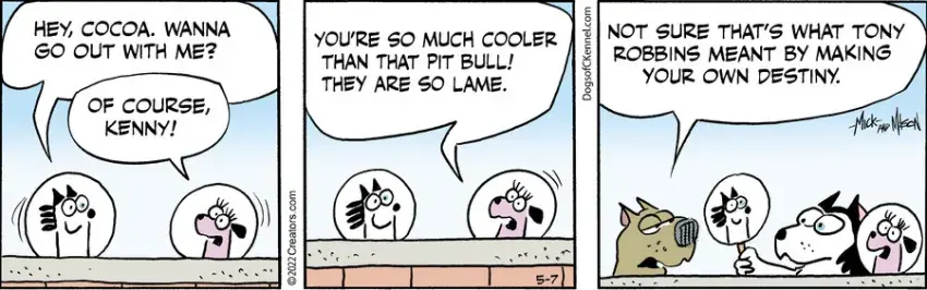 Dogs of C-Kennel for May 07, 2022