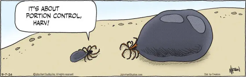 B.C. for May 07, 2024