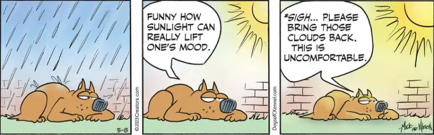 Dogs of C-Kennel for May 08, 2023