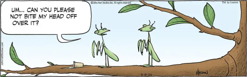 B.C. for May 08, 2024