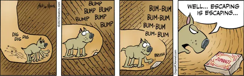 Dogs of C-Kennel for May 10, 2022
