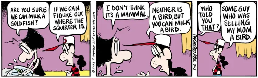 Agnes for May 10, 2022