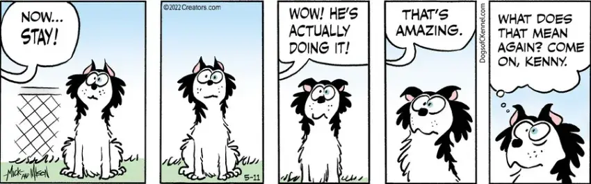 Dogs of C-Kennel for May 11, 2022