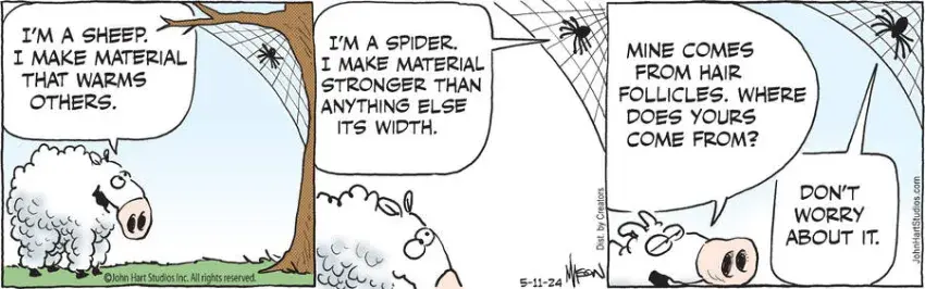 B.C. for May 11, 2024