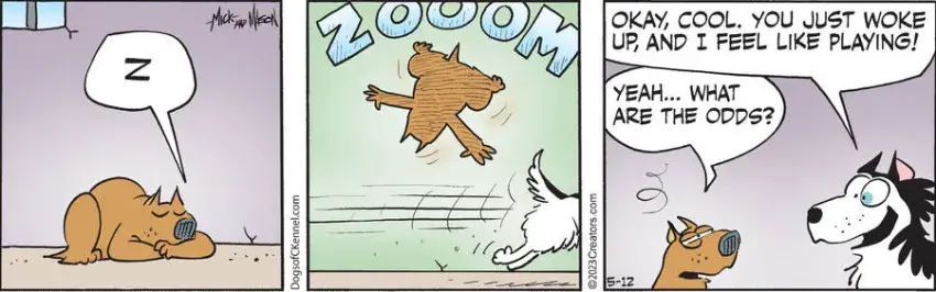 Dogs of C-Kennel for May 12, 2023