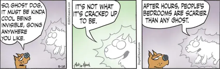 Dogs of C-Kennel for May 16, 2023