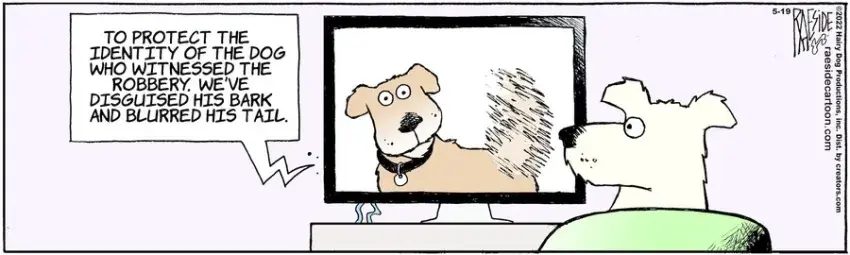 The Other Coast for May 19, 2022