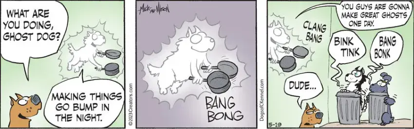 Dogs of C-Kennel for May 19, 2023