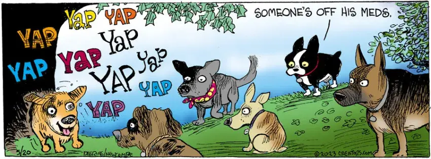 Zack Hill for May 20, 2023