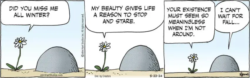 B.C. for May 22, 2024