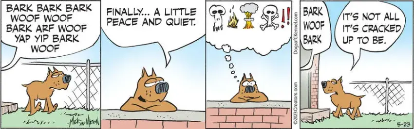 Dogs of C-Kennel for May 23, 2023
