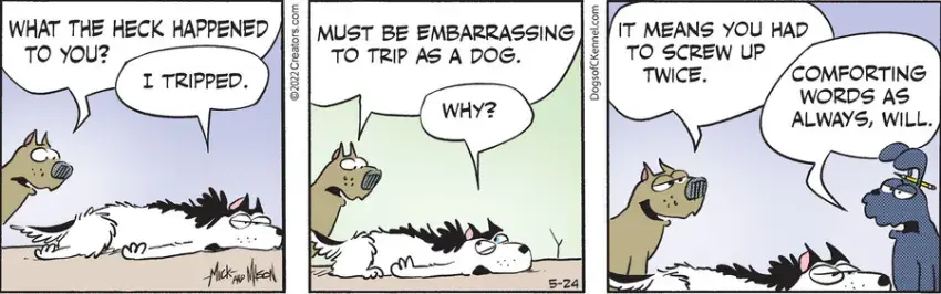 Dogs of C-Kennel for May 24, 2022
