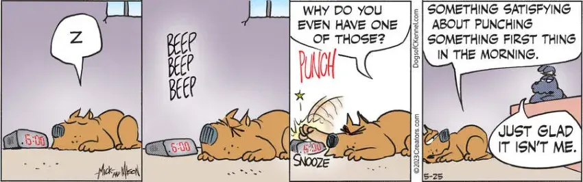 Dogs of C-Kennel for May 25, 2023
