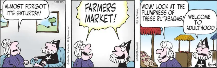 Wizard of Id for May 27, 2023