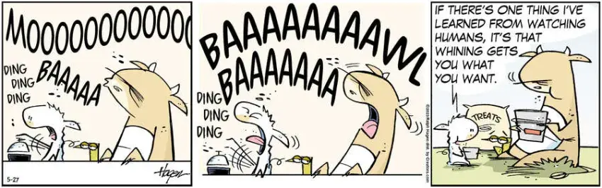 The Barn for May 27, 2023