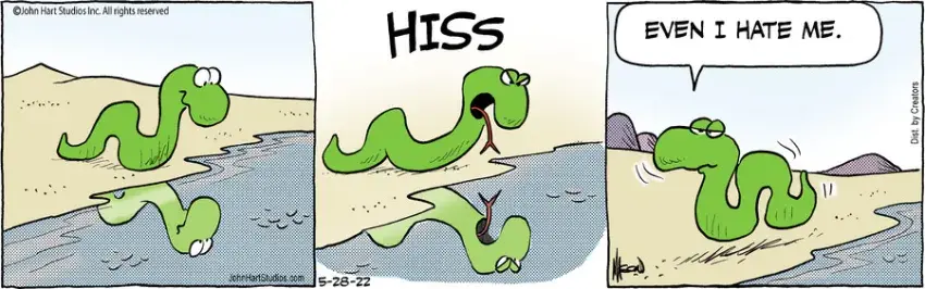 B.C. for May 28, 2022