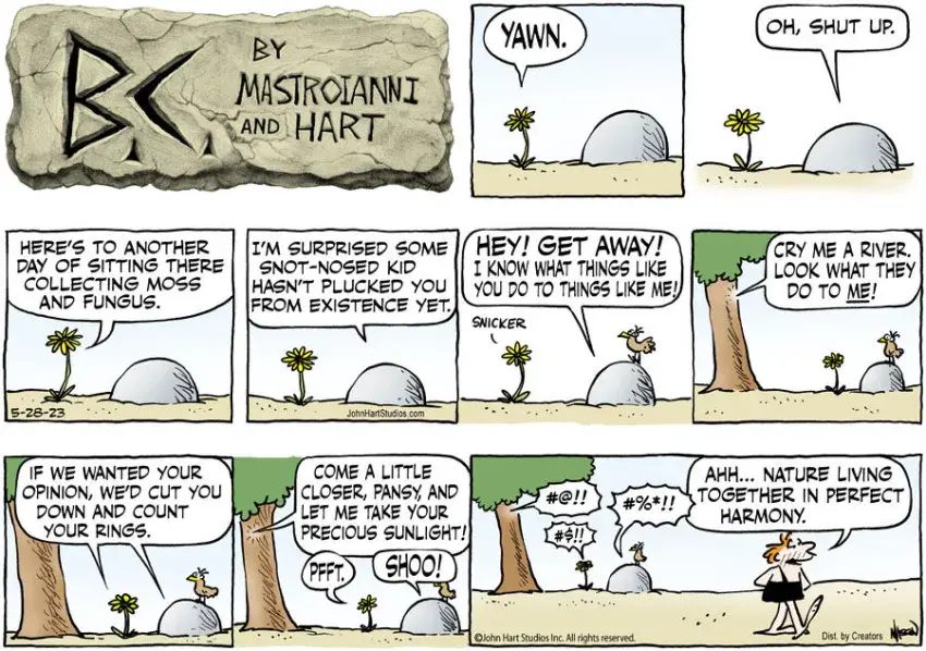 B.C. for May 28, 2023