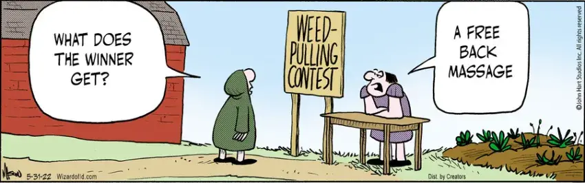 Wizard of Id for May 31, 2022