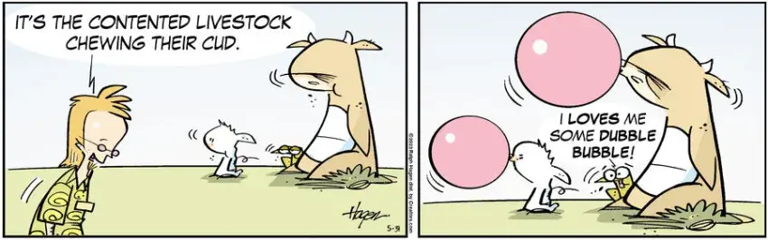 The Barn for May 31, 2023