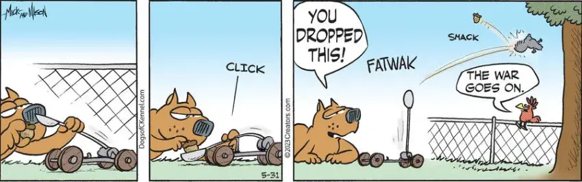 Dogs of C-Kennel for May 31, 2023