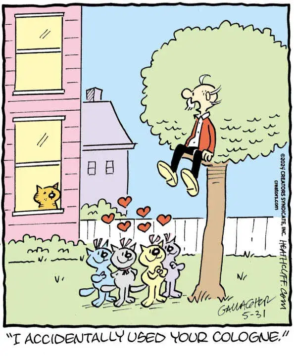Heathcliff for May 31, 2024