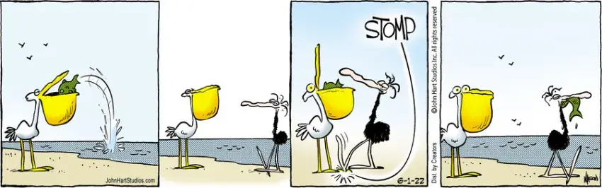 B.C. for Jun 01, 2022