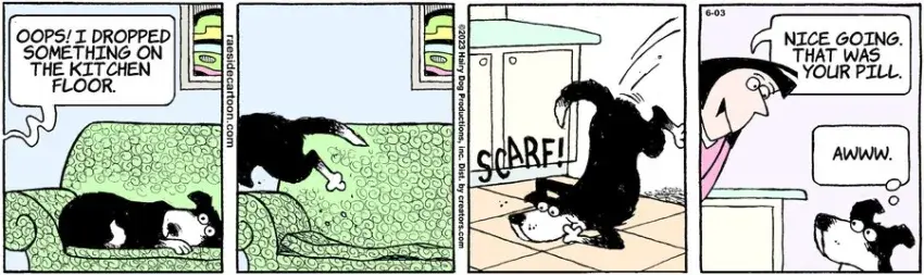 The Other Coast for Jun 03, 2023