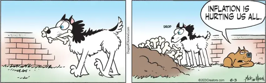 Dogs of C-Kennel for Jun 03, 2023