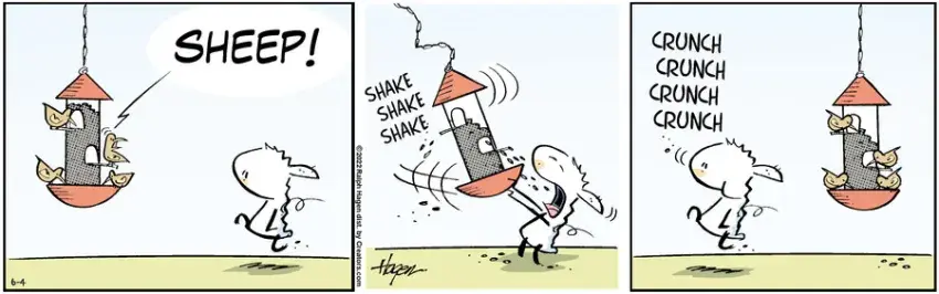 The Barn for Jun 04, 2022